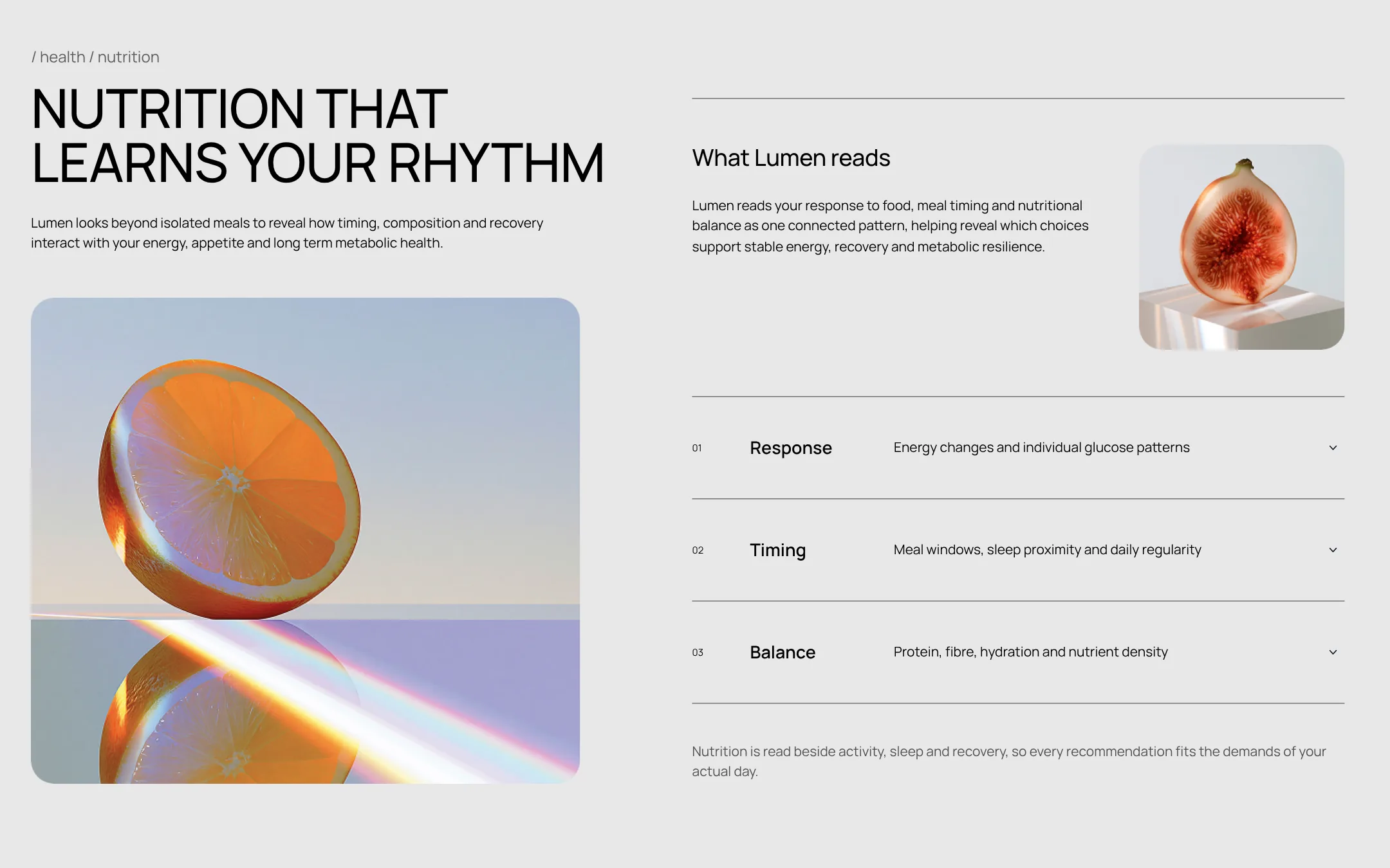 Nutrition chapter: Nutrition that learns your rhythm, and what Lumen reads: response, timing, balance